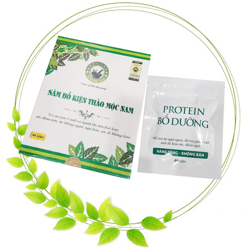 SÂM BỔ KIỆN THẢO MỘC NAM